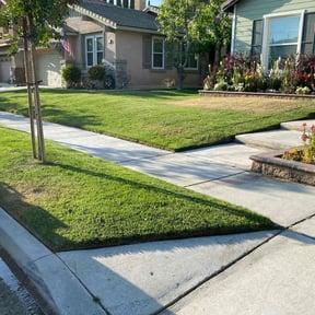 yard maintenance by REGAL LANDSCAPING GROUP LLC reviewed on June 1, 2023