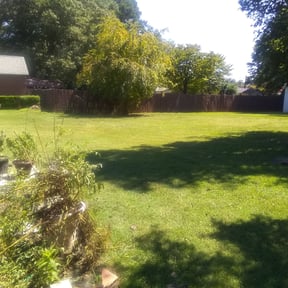 Bush Trimming by Razor Sharp Landscaping reviewed on August 21, 2025