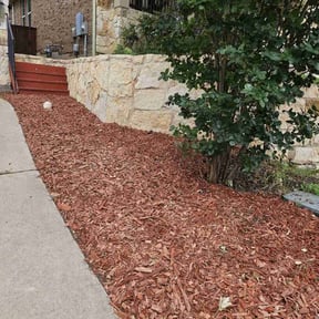 Other by Jewelry box ent reviewed on August 16, 2025