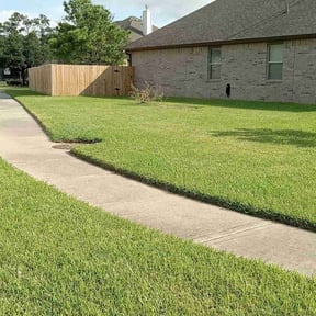 grass cutting by Marroquin Landscaping reviewed on June 23, 2025