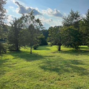 Cleanups by Carlitos lawn care reviewed on August 15, 2025