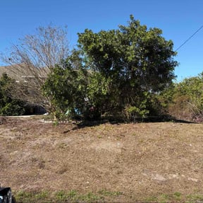 Bush Trimming by Killian Landscaping, LLC. reviewed on February 4, 2026