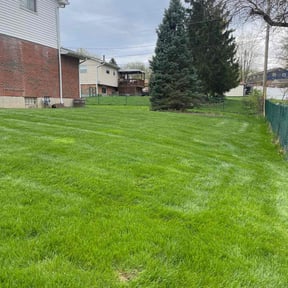 landscaping by No Mow Worries Lawn Care reviewed on August 16, 2025