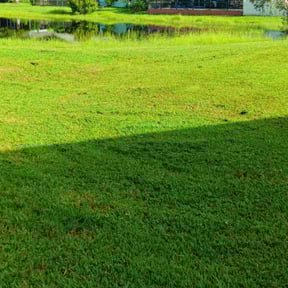 yard maintenance by EOW 618 lawn care reviewed on August 20, 2025