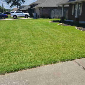 yard care by Seabreeze Property Service reviewed on February 14, 2026