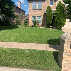 lawn service by ACS Lawn Care reviewed on August 15, 2025