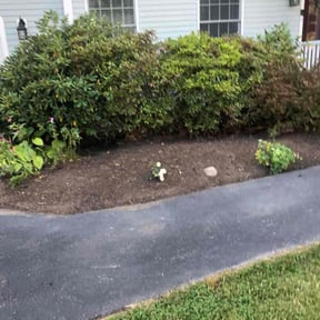 Flower Bed Weeding by Jeff Koshen reviewed on November 8, 2025