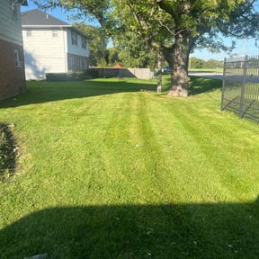 turf maintenance by All yards reviewed on September 3, 2023