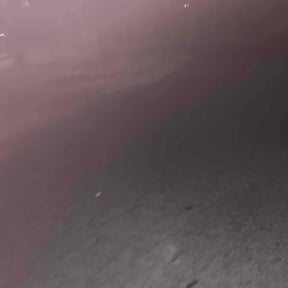 Bush Trimming by Crossroads Lawn Care reviewed on January 8, 2026