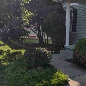 Bush Trimming by Hooper House LLC reviewed on August 16, 2025