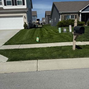 yard work by Felo Pride lawn services reviewed on August 17, 2025