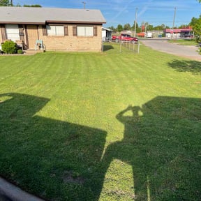 grass maintenance by Chi services reviewed on May 15, 2024