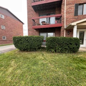 Bush Trimming by TH lawncare reviewed on June 13, 2023