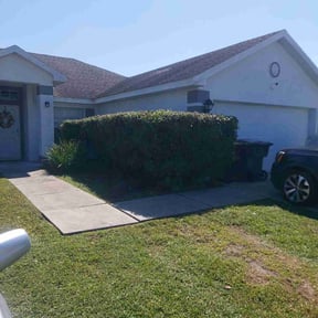 Bush Trimming by ill Mentality Inc reviewed on November 20, 2025