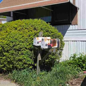 Bush Trimming by Alz landscaping reviewed on May 8, 2026