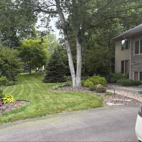 Weeding by Majors mowing reviewed on August 19, 2025