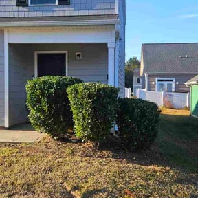 Bush Trimming by Lawn and Labor Services reviewed on October 18, 2025