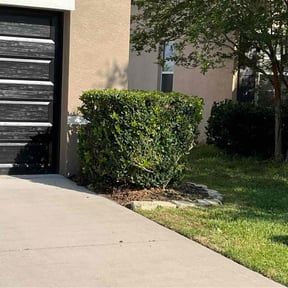 Bush Trimming by Kievs Cleaning Service llc reviewed on August 19, 2025