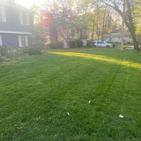 grass cutting by J&K Landcaping reviewed on May 6, 2024