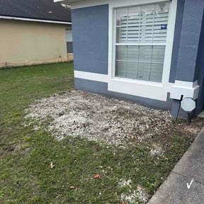 Flower Bed Weeding by Dj's Lawn Care reviewed on March 26, 2026