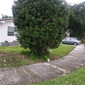 Bush Trimming by Kingdom Come Landscaping reviewed on August 17, 2025