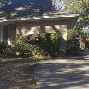 Bush Trimming by The Lawn Cypress reviewed on August 15, 2025