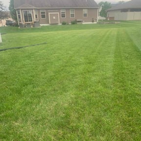 gardening service by B & N Straight Edge Lawn Care LLC reviewed on August 18, 2025
