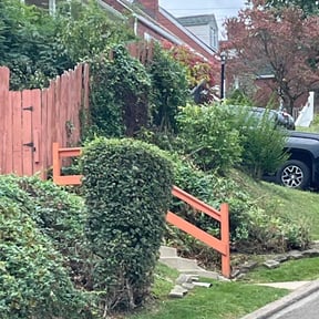 Bush Trimming by J.taylorgrading LLC reviewed on August 15, 2025