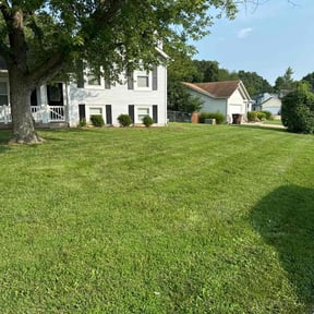 turf maintenance by Dave’s Lawn Service reviewed on June 14, 2025