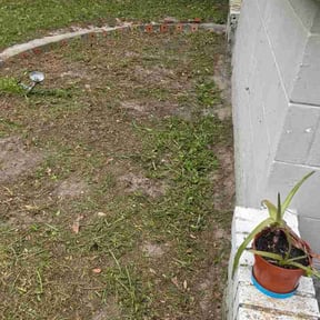 Flower Bed Weeding by Greene Enterprise reviewed on July 24, 2026