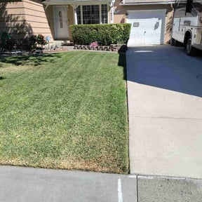 turf maintenance by YardPro reviewed on October 19, 2023