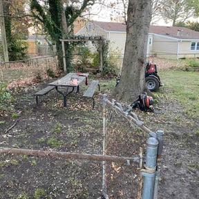 Leaf Removal by YB Cool Cutz reviewed on November 23, 2025