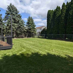 grass maintenance by Charlie's property maintenance, llc reviewed on August 1, 2025