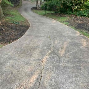 Bush Trimming by On Point Lawn Care reviewed on October 21, 2025