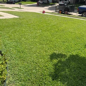 landscaping services by Ledezma reviewed on August 20, 2025