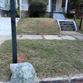 Bush Trimming by KB Lawn Care Services reviewed on October 20, 2025