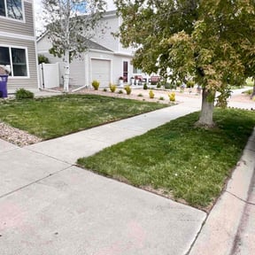 gardening service by Sharp Property Preservation reviewed on December 30, 2025