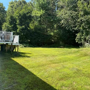 grass maintenance by ZKZ Landscape &amp; Design reviewed on April 18, 2024