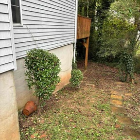 Bush Trimming by Reese Landscaping reviewed on February 17, 2026