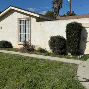 Bush Trimming by Darts landscape reviewed on January 4, 2026