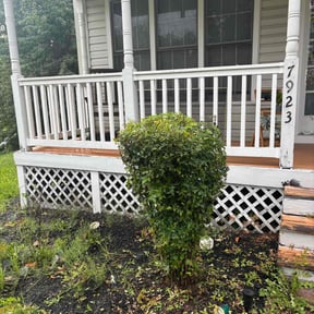 Bush Trimming by Above And Beyond Lawn Care reviewed on August 18, 2025