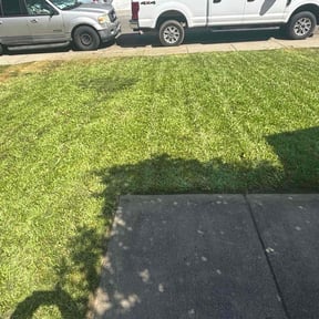 lawn care services by Manny los Lawn Care Services reviewed on October 28, 2024