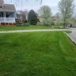 lawn maintenance by Friendly Tractor reviewed on August 18, 2025