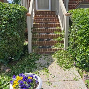Bush Trimming by 671 Lawn &amp; Maintenance services reviewed on April 19, 2026