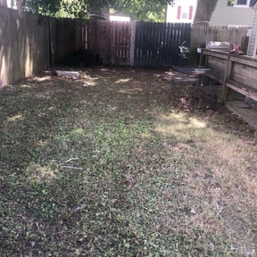 Leaf Removal by TH lawncare reviewed on August 15, 2025