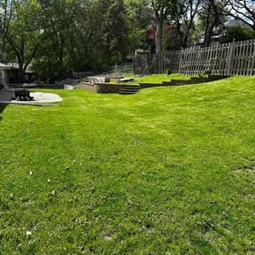 yard care by Ibarra Landscaping reviewed on August 20, 2025