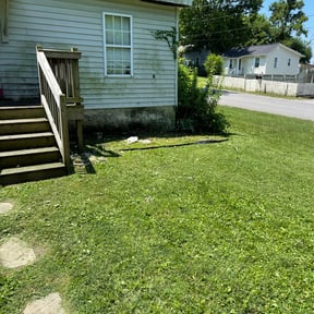 Bush Trimming by Nichols Lawn & Landscaping reviewed on August 20, 2025