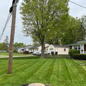 Cleanups by Moo's Mowing, LLC reviewed on August 20, 2025