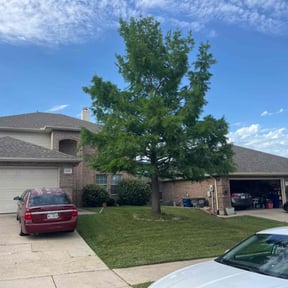 yard work by Robin Hoods Grass & Landscaping LLC reviewed on August 15, 2025