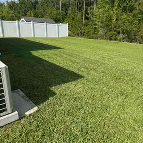 turf maintenance by GAMA Lawn Care Services reviewed on August 16, 2025